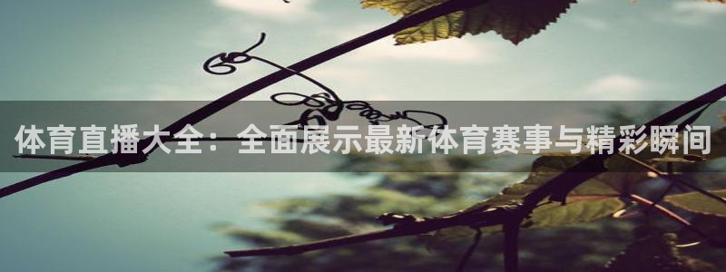 劲爆体育频道在线观看免费