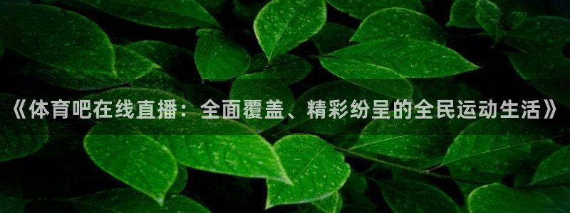 劲爆体育在线直播