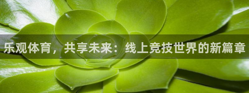 劲爆体育高清在线直播观看