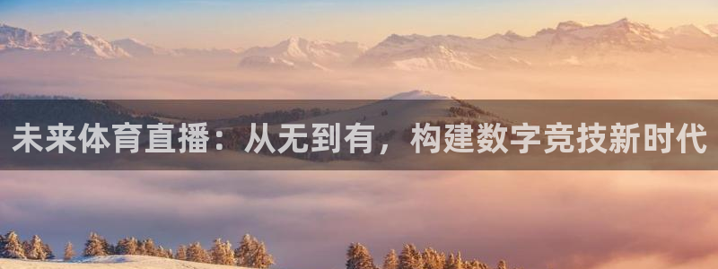 劲爆体育在线高清直播nba