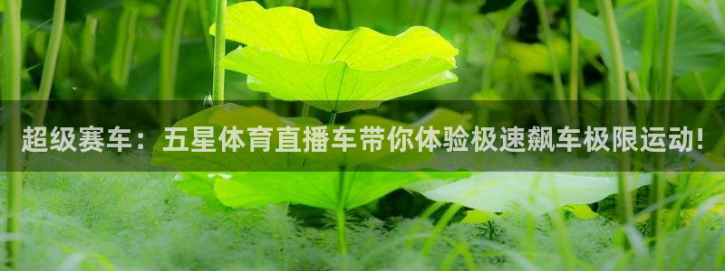 劲爆体育频道高清直播：超级赛车：五星体育直播车带你体验极速飙车极限运动!