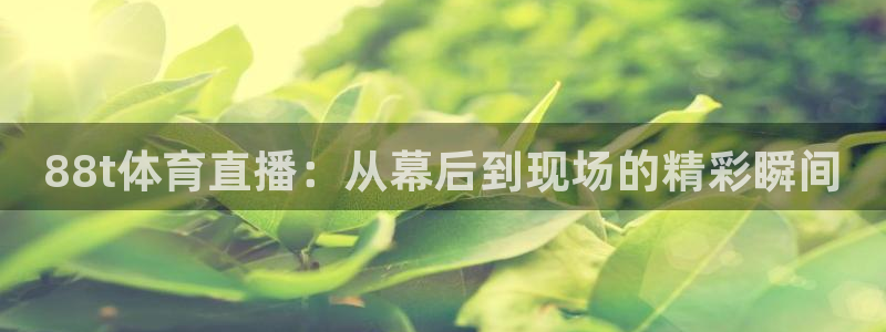 nba直播劲爆体育：88t体育直播：从幕后到现场的精彩瞬间
