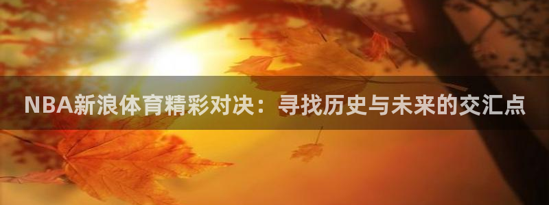 劲爆体育nba在线直播观看高清：NBA新浪体育精彩对决：寻找历史与未来的交汇点